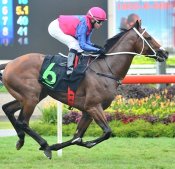 Ato<br>Photo by Singapore Turf Club